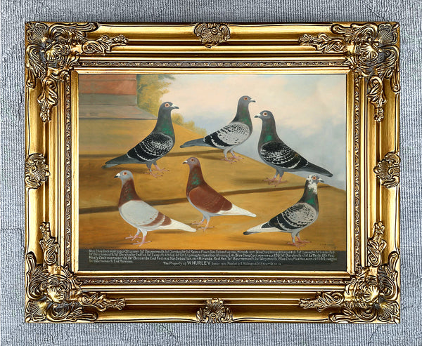 Fine Oleograph on Canvas of 6 Racing Pigeons 1937