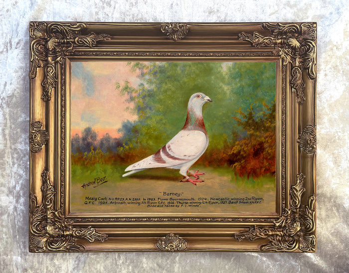 Fine Oleograph on Canvas of the Racing Pigeon 