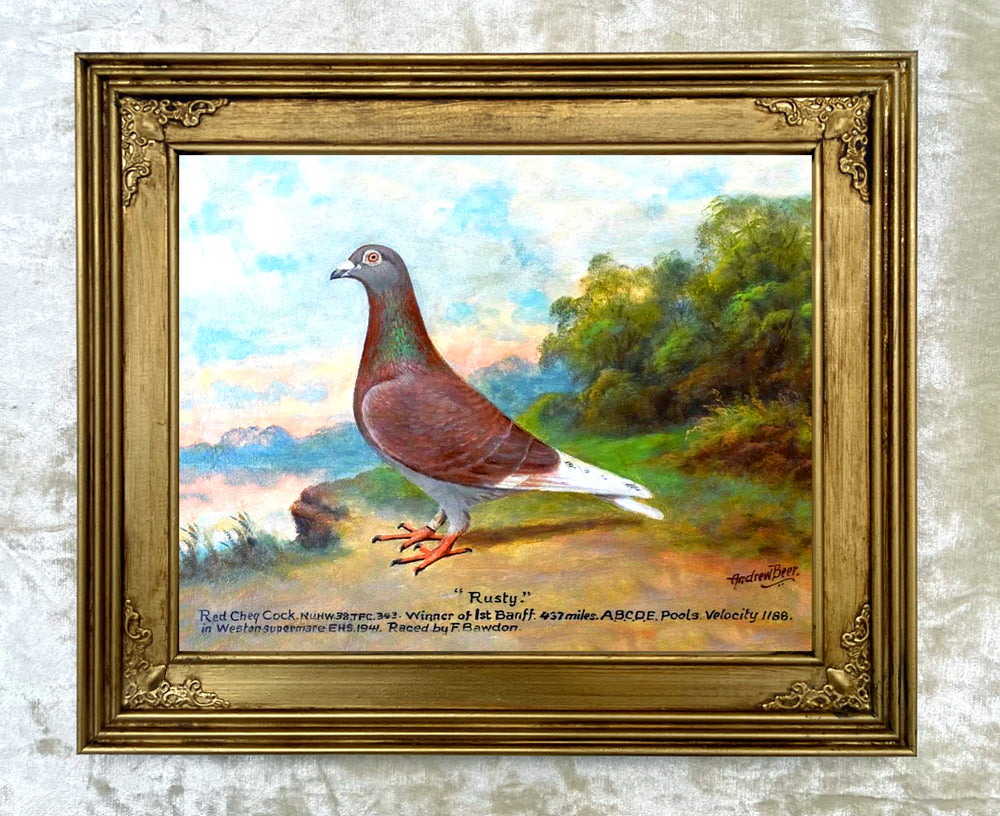 Fine Oleograph on Canvas of the Racing Pigeon "Rusty"