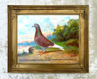 Fine Oleograph on Canvas of the Racing Pigeon "Rusty"