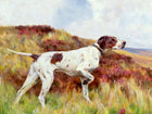Fine Oleograph on Canvas - English Pointer in an extensive Landscape