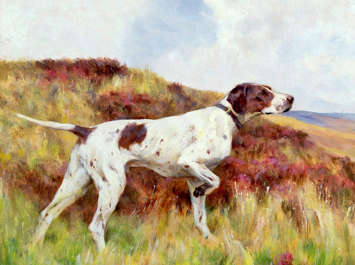 Fine Oleograph on Canvas - English Pointer in an extensive Landscape