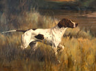 Fine Oleograph on Canvas - English Pointer in a River Landscape