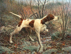 Fine Oleograph on Canvas - English Pointer on Point in an extensive Landscape