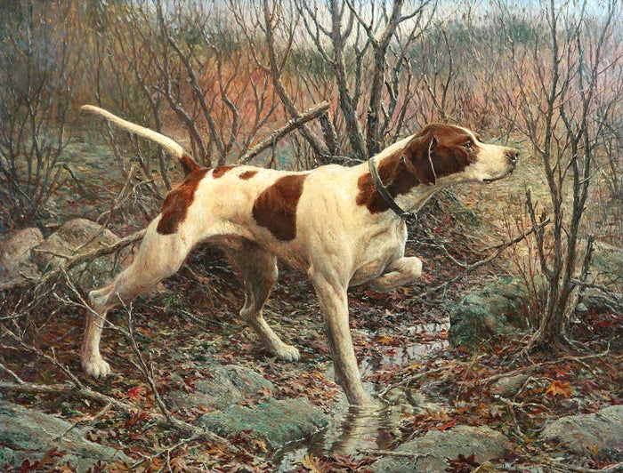 Fine Oleograph on Canvas - English Pointer on Point in an extensive Landscape