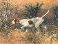 Fine Oleograph on Canvas of an English Pointer in a Thicket