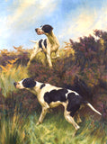 Fine Oleograph on Canvas - A Pair of Pointers in a Moorland Landscape on point