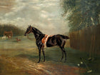 Fine Oleograph on Canvas - Portrait Study of a Polo Pony