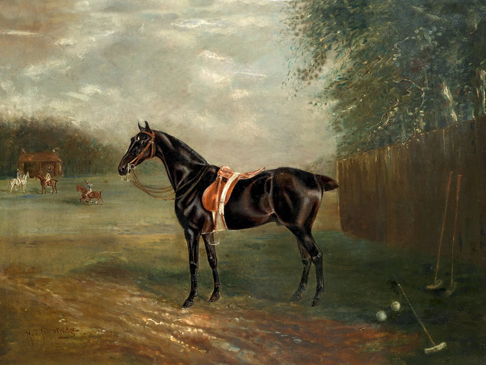 Fine Oleograph on Canvas - Portrait Study of a Polo Pony
