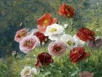 Beautiful Still Life Oleograph on Canvas - A Cluster of Poppies