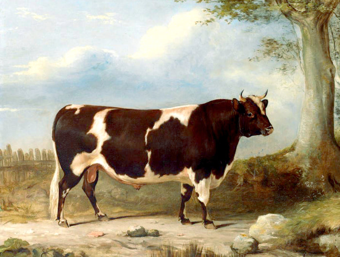 Fine Oleograph on Canvas of a Prize Bull in a Landscape