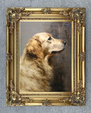 Fine Gilt Framed Oleograph of a Golden Retriever