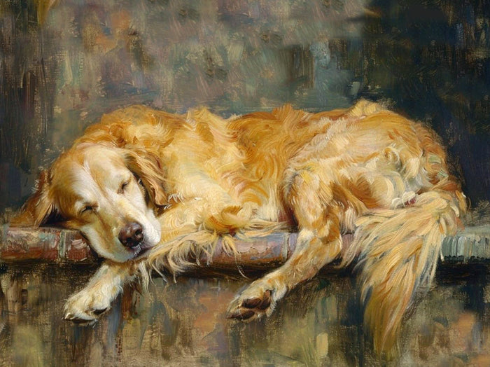 Fine Ornate Framed Oil Painting Print - Sleeping Golden Retriever
