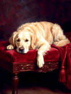 Ornate Framed Oil Painting Print - Golden Retriever on a Velvet Chair