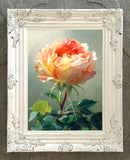 Exquisite Still Life Oleograph on Canvas Still Life of a single Rose