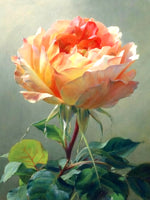 Exquisite Still Life Oleograph on Canvas Still Life of a single Rose