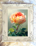 Exquisite Still Life Oleograph on Canvas Still Life of a single Rose