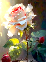 Exquisite Still Life Oleograph on Canvas - A Single Rose in Sunlight