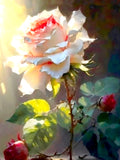Exquisite Still Life Oleograph on Canvas - A Single Rose in Sunlight