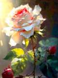 Exquisite Still Life Oleograph on Canvas - A Single Rose in Sunlight