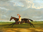 Fine Oleograph on Canvas - Portrait of a Jockey Riding a Bay Horse