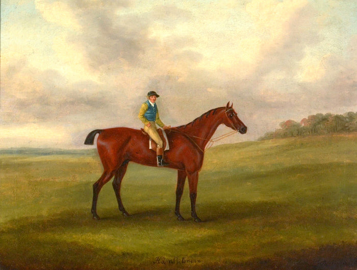 Fine Oleograph on Canvas of the Racehorse 