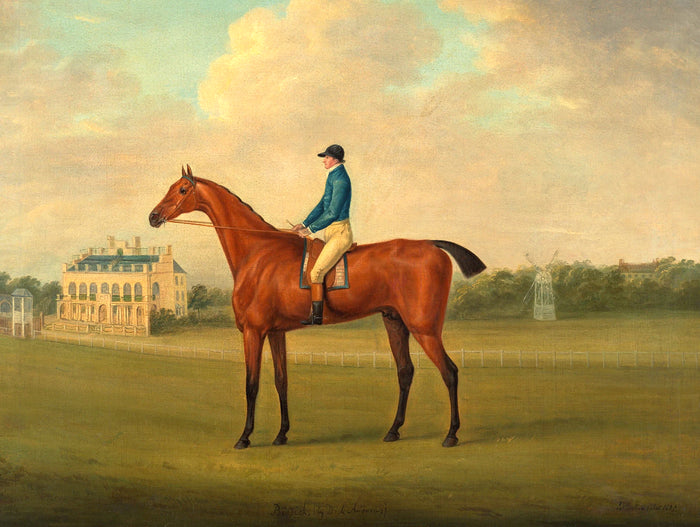 Fine Oleograph on Canvas of the Racehorse 