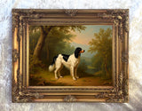 Fine Oleograph on Canvas - English Setter in Woodland
