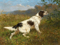 Fine Oleograph on Canvas - Portrait of a Setter "In the Field"