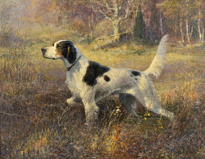 Fine Oleograph on Canvas - English Setter on Point in an extensive Landscape