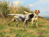 Gilt Framed Oleograph of a English Setters in a Moorland Landscape aft.Thomas Blinks
