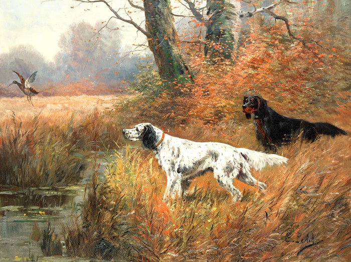 Fine Oleograph on Canvas of Setters in a River Landscape.