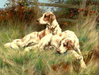 Ornate Framed Oil Painting Print on Canvas -Pair of Resting English Setters