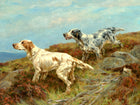 Fine Oleograph on Canvas - A Pair of Setters in the Field aft. Thomas Blinks