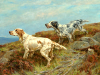 Fine Oleograph on Canvas - A Pair of Setters in the Field aft. Thomas Blinks