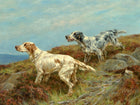 Gilt Framed Oleograph of Working English Setters in the Field aft.Thomas Blinks