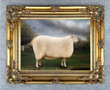 Gilt Framed  Oleograph on Canvas "A Champion Sheep"