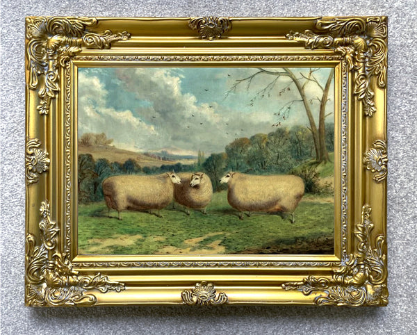 Gilt Framed Oleograph of Prize Sheep in a Leicestershire Field