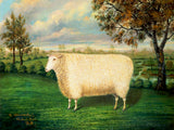 Gilt Framed  Oleograph on Canvas - A Prize Sheep of the Old Lincoln Breed, 1835
