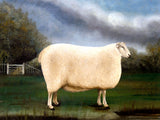 Gilt Framed  Oleograph on Canvas "A Champion Sheep"