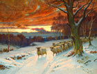 Fine Oleograph on Canvas of Sheep in a Wintry Woodland at Twilight