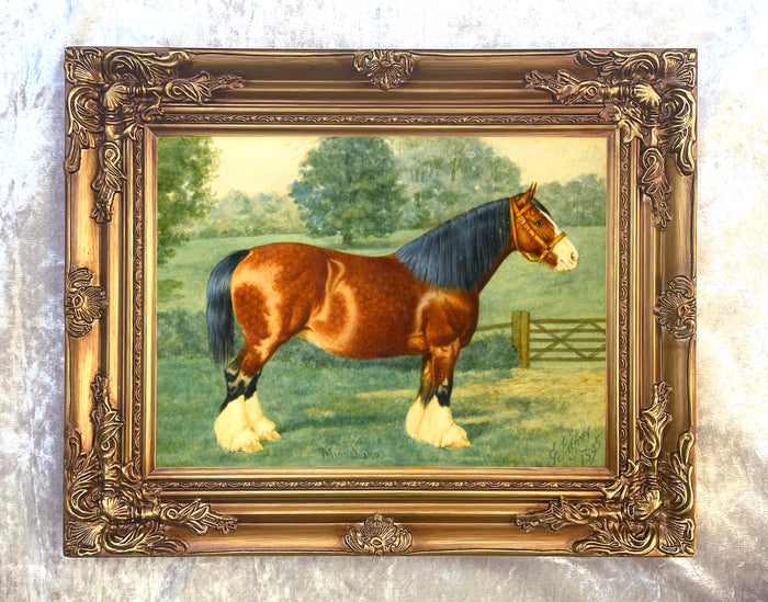 Oleograph on Canvas of the Shire Horse - 