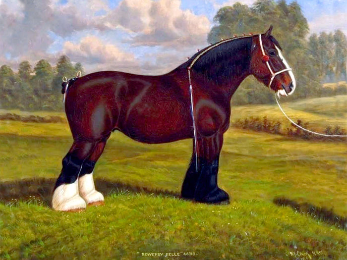 Oleograph on Canvas of the Bay Shire Horse 