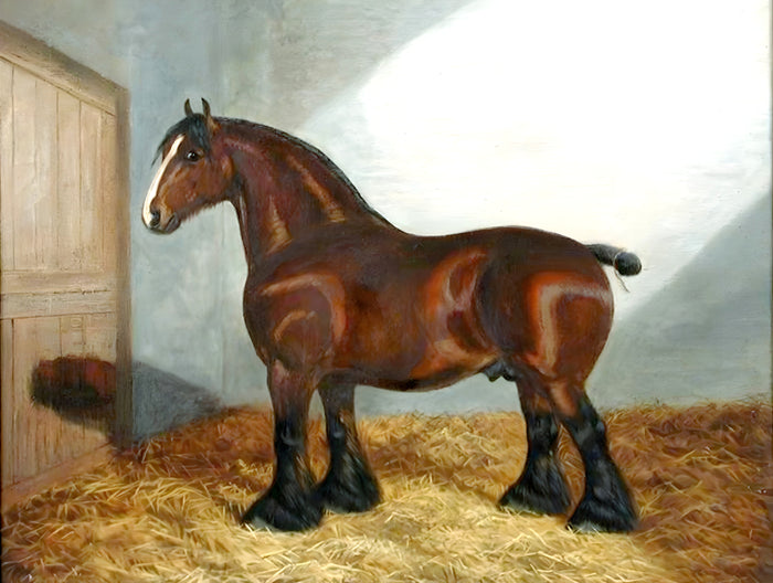 Oleograph on Canvas of a Bay Shire Horse in a Stable