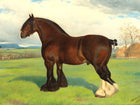 Fine Oleograph on Canvas of an English Shire Horse