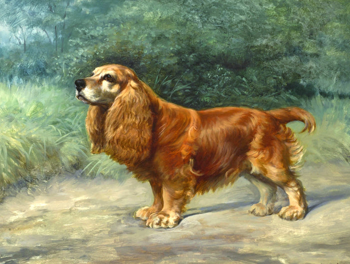 Framed Oleograph of  a Cocker Spaniel in a Wooded Landscape