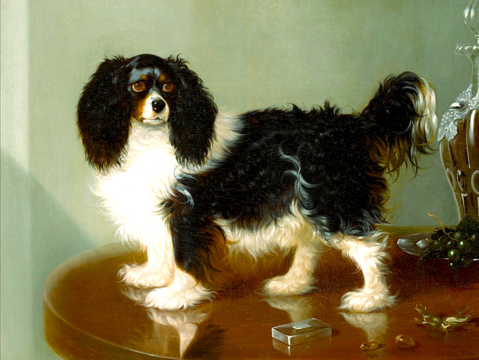 Ornate Framed Oleograph of a King Charles Cavalier Spaniel