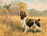 Framed Oleograph of  a Spaniel "Putting up Game"