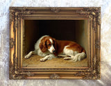 Gilt Framed Oleograph of a Springer Spaniel Resting in a Stable