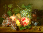 Beautiful Still Life Oleograph on Canvas Still Life of Pomegranates, Grapes & Plumbs